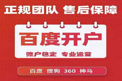 成功SEM推广代运营案例分享